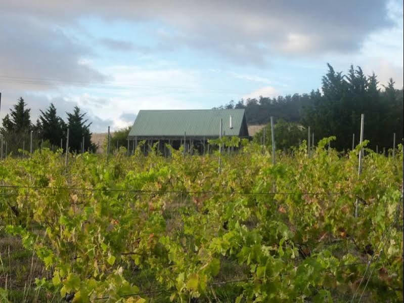 Charles Reuben Estate Guest House Hobart Bagian luar foto